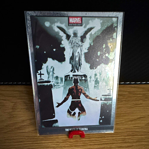 Panini marvel anthology - panini,
